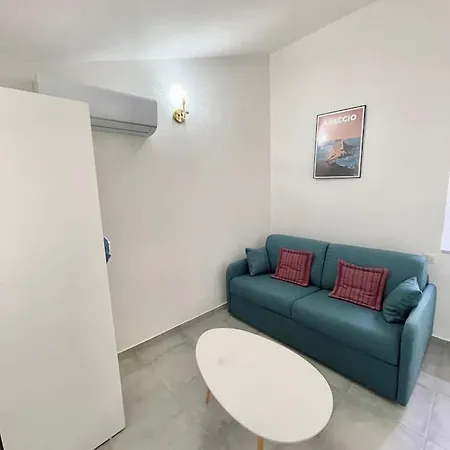 2 Personnes Plein Centre Rue Pietonne 公寓 阿雅克肖
