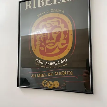 Διαμέρισμα 2 Personnes Plein Centre Rue Pietonne Αζάτσιο