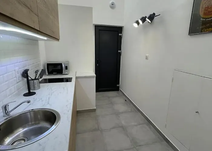 Apartament 2 Personnes Plein Centre Rue Pietonne *
